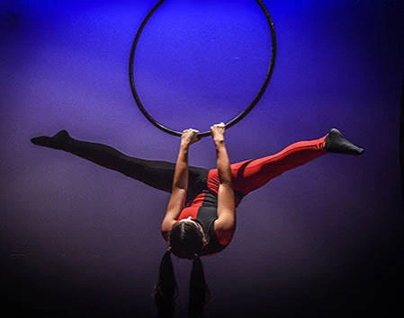 Acrobacia y Circo