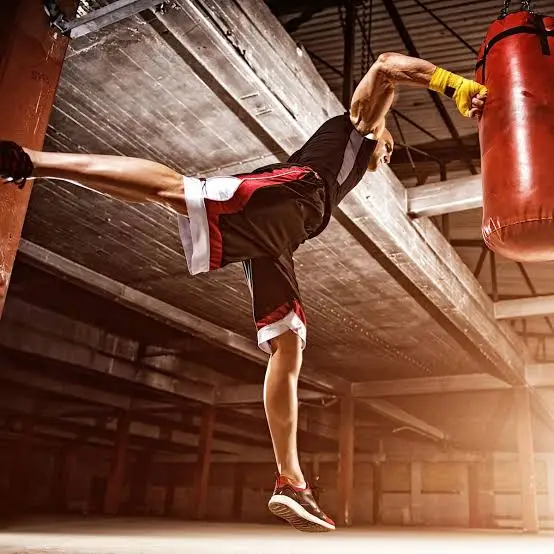 Kickboxing y MMA