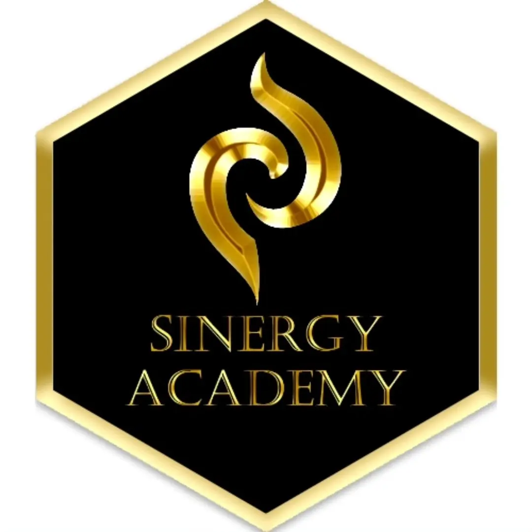 Sinergy Academy